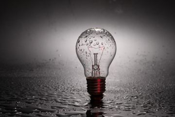 bulb bulb